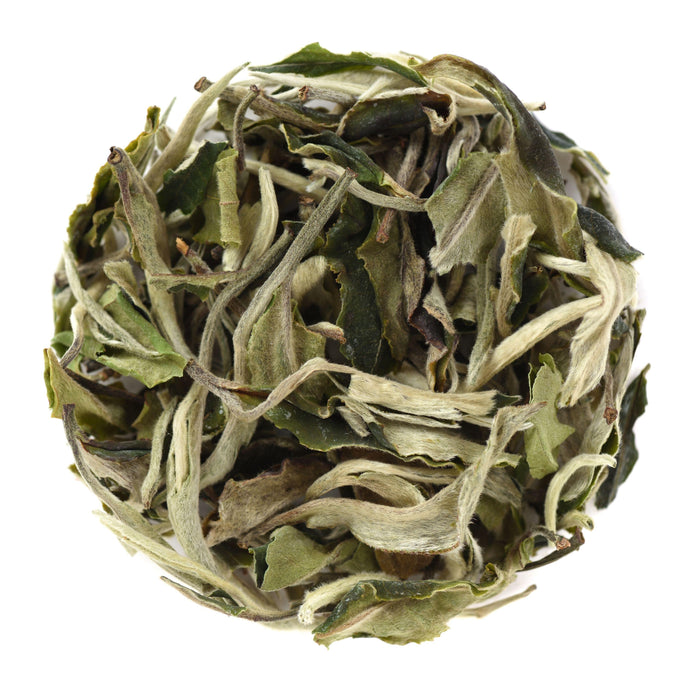 Surprising Health Benefits of White Peony Tea / Bai Mudan